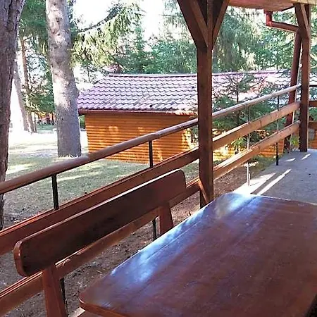 ива *